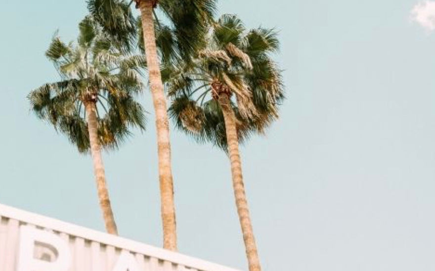 Ambiance Palm Springs avec la collection Welcome Bob